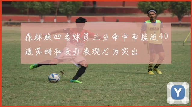 森林狼四名球员三分命中率接近40道苏姆和麦丹表现尤为突出
