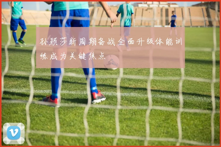 孙颖莎新周期备战全面升级体能训练成为关键焦点