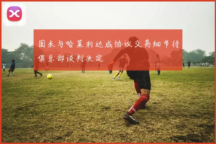 国米与哈莱利达成协议交易细节待俱乐部谈判决定